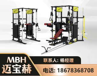 临沂多功能综合训练器