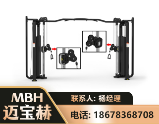 临沂大飞鸟训练器